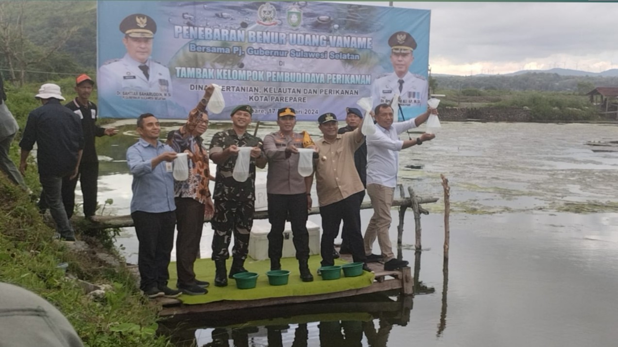 Pj Gubernur Sulsel Bersama Pj Wali Kota Tebar Bibit Udang Dan Tanam