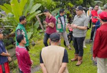 Wabup Barru Tinjau Lahan Kopi Petani di Pujananting, Dorong Hilirisasi dan Penguatan Branding Kopi Barru