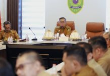 Wakil Bupati Barru Abustan Pimpin High Level Meeting Tim Percepatan dan Perluasan Digitalisasi Daerah