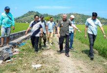Bupati Pinrang Andi Irwan Tinjau Penanganan Kekeringan di Sejumlah Wilayah